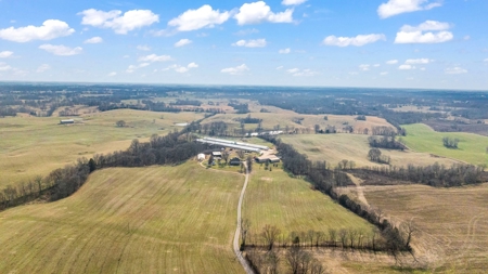 22 acre poultry farm for sale near Smiths Grove, Ky. - image 4