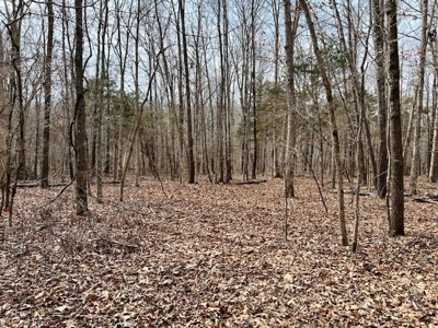 Hunting Property for sale in Randolph County AR - image 2