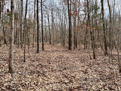 Hunting Property for sale in Randolph County AR - image 1