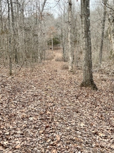 Hunting Property for sale in Randolph County AR - image 9