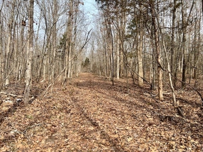 Hunting Property for sale in Randolph County AR - image 3