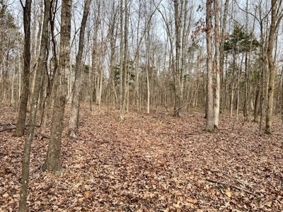 Hunting Property for sale in Randolph County AR - image 6