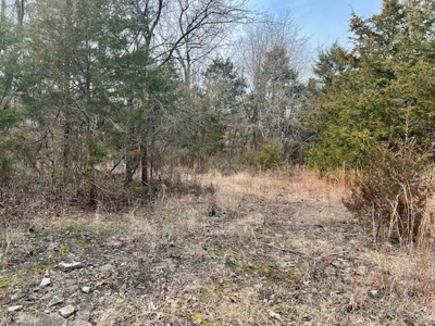 Hunting Property for sale in Randolph County AR - image 5