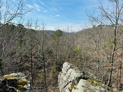 Land For Sale In Arkansas - image 1