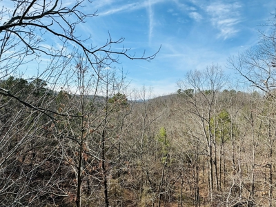 Land For Sale In Arkansas - image 27