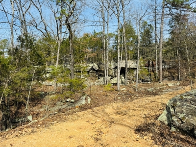 Land For Sale In Arkansas - image 2