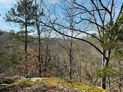 Land For Sale In Arkansas - image 34