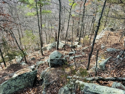 Land For Sale In Arkansas - image 25