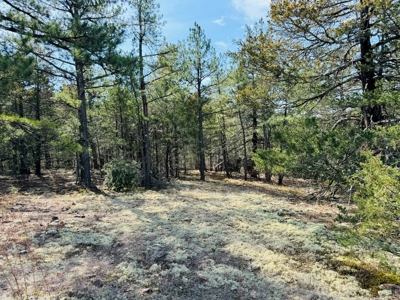 Land For Sale In Arkansas - image 35