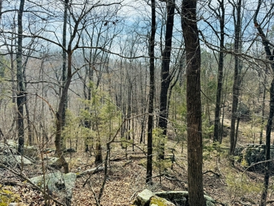 Land For Sale In Arkansas - image 5