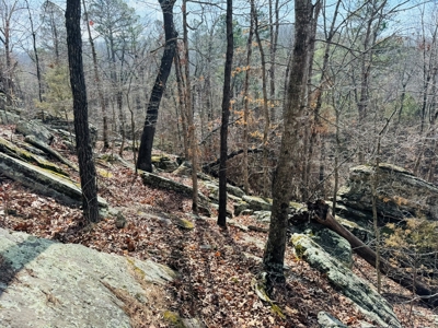 Land For Sale In Arkansas - image 19