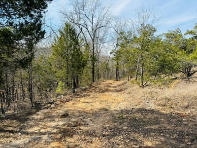 Land For Sale In Arkansas - image 15