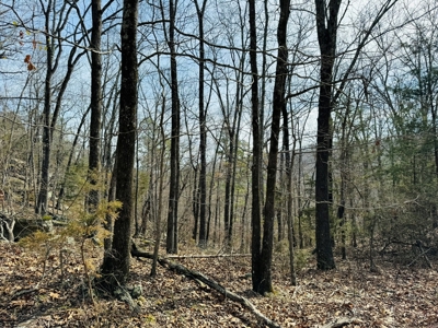 Land For Sale In Arkansas - image 3
