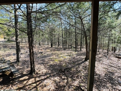 Land For Sale In Arkansas - image 38