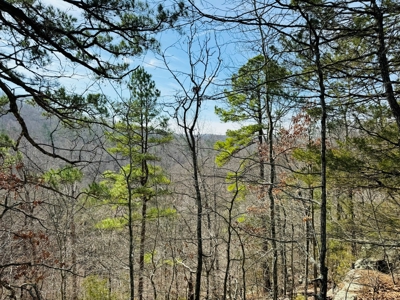 Land For Sale In Arkansas - image 24
