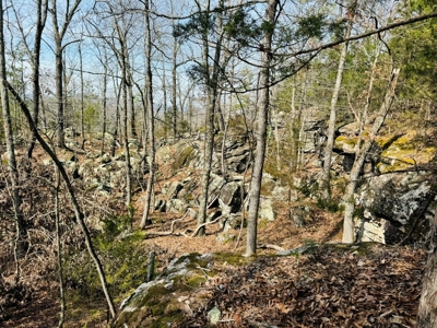 Land For Sale In Arkansas - image 13