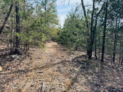 Land For Sale In Arkansas - image 11