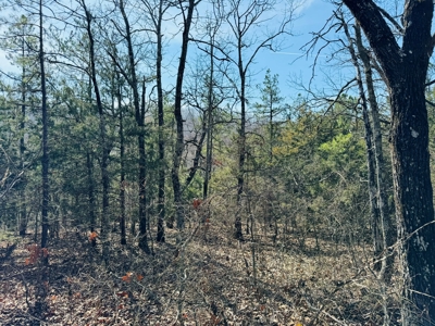 Land For Sale In Arkansas - image 46