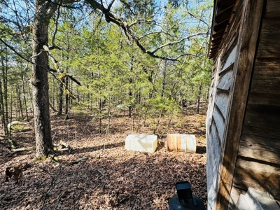 Land For Sale In Arkansas - image 39