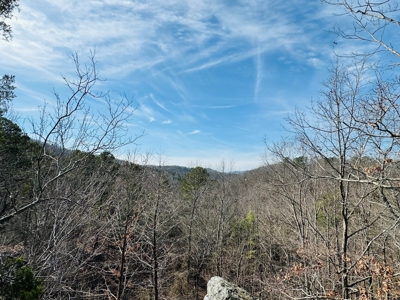 Land For Sale In Arkansas - image 29