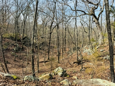 Land For Sale In Arkansas - image 4
