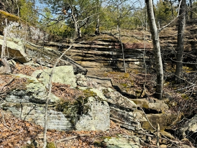 Land For Sale In Arkansas - image 21