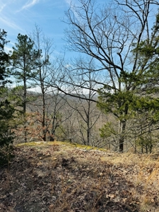 Land For Sale In Arkansas - image 26
