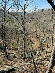 Land For Sale In Arkansas - image 33