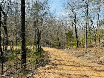 Land For Sale In Arkansas - image 6