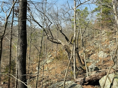 Land For Sale In Arkansas - image 17