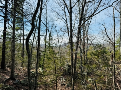 Land For Sale In Arkansas - image 12
