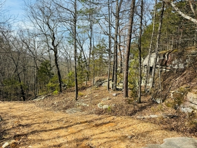 Land For Sale In Arkansas - image 7