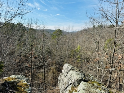 Land For Sale In Arkansas - image 30