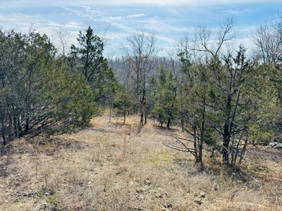 Land For Sale In Arkansas - image 9