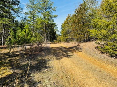 Land For Sale In Arkansas - image 45