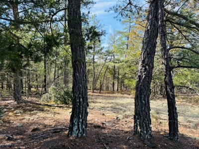Land For Sale In Arkansas - image 36