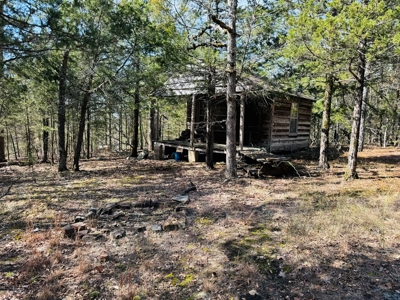 Land For Sale In Arkansas - image 44