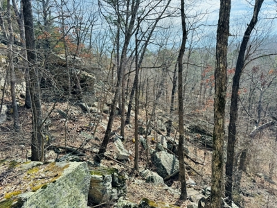 Land For Sale In Arkansas - image 22