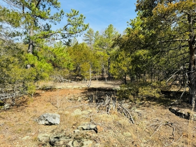 Land For Sale In Arkansas - image 31