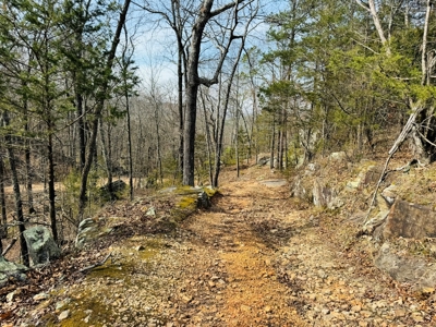 Land For Sale In Arkansas - image 8