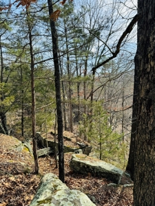 Land For Sale In Arkansas - image 23
