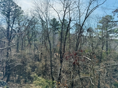Land For Sale In Arkansas - image 16