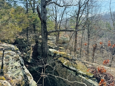 Land For Sale In Arkansas - image 32