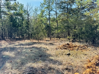 Land For Sale In Arkansas - image 47