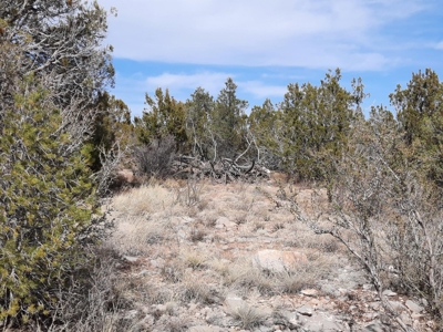 Nice Northern AZ off grid parcel. - image 2
