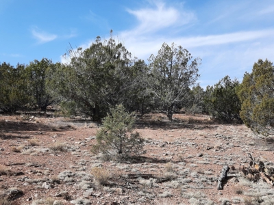 Nice Northern AZ off grid parcel. - image 9