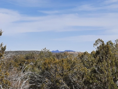 Nice Northern AZ off grid parcel. - image 10