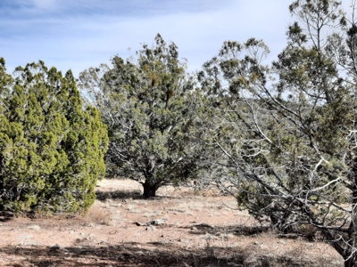 Nice Northern AZ off grid parcel. - image 4