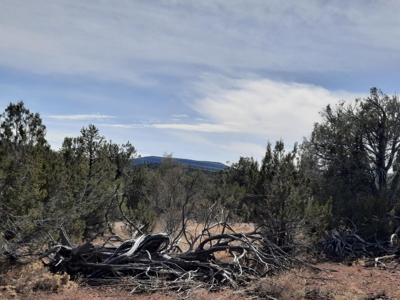Nice Northern AZ off grid parcel. - image 3