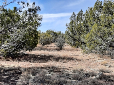 Nice Northern AZ off grid parcel. - image 6